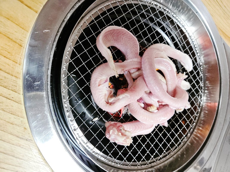 기장꼼장어 이미지