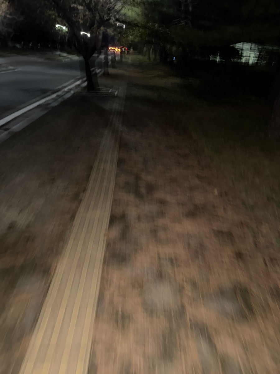 쨈스터 이미지