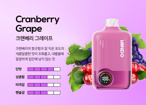반도아이스 이미지