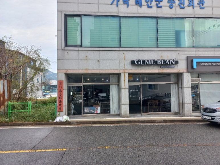 지니빈 이미지