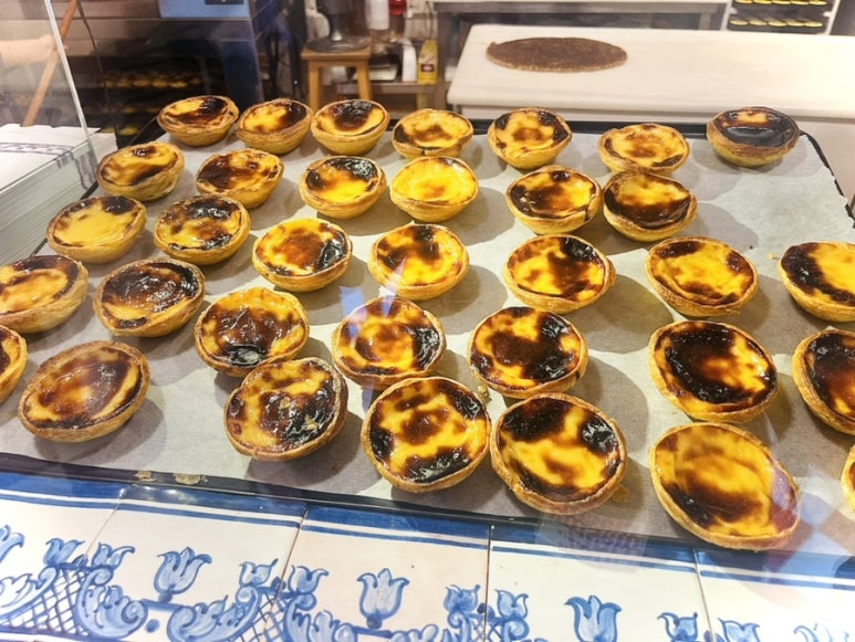 필로엘 이미지