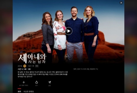 진갤러리 이미지