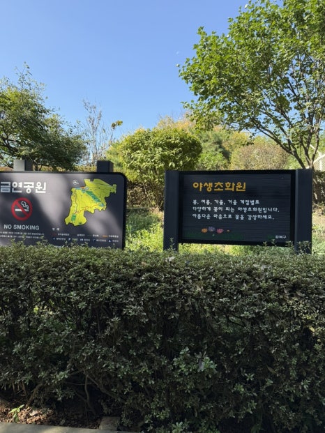 오패산 유아숲체험원 이미지