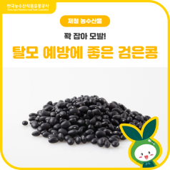 꽉 잡아 모발! 탈모 예방에 좋은 검은콩 바로가기