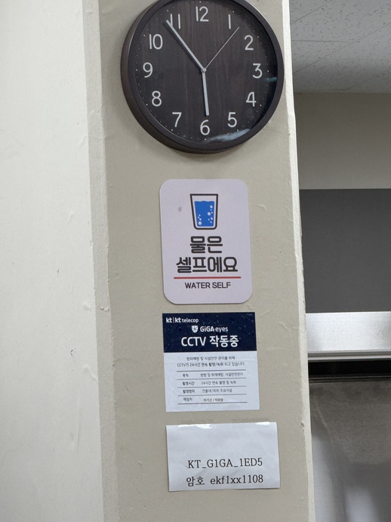 영천 얼큰 돼지국밥 이미지