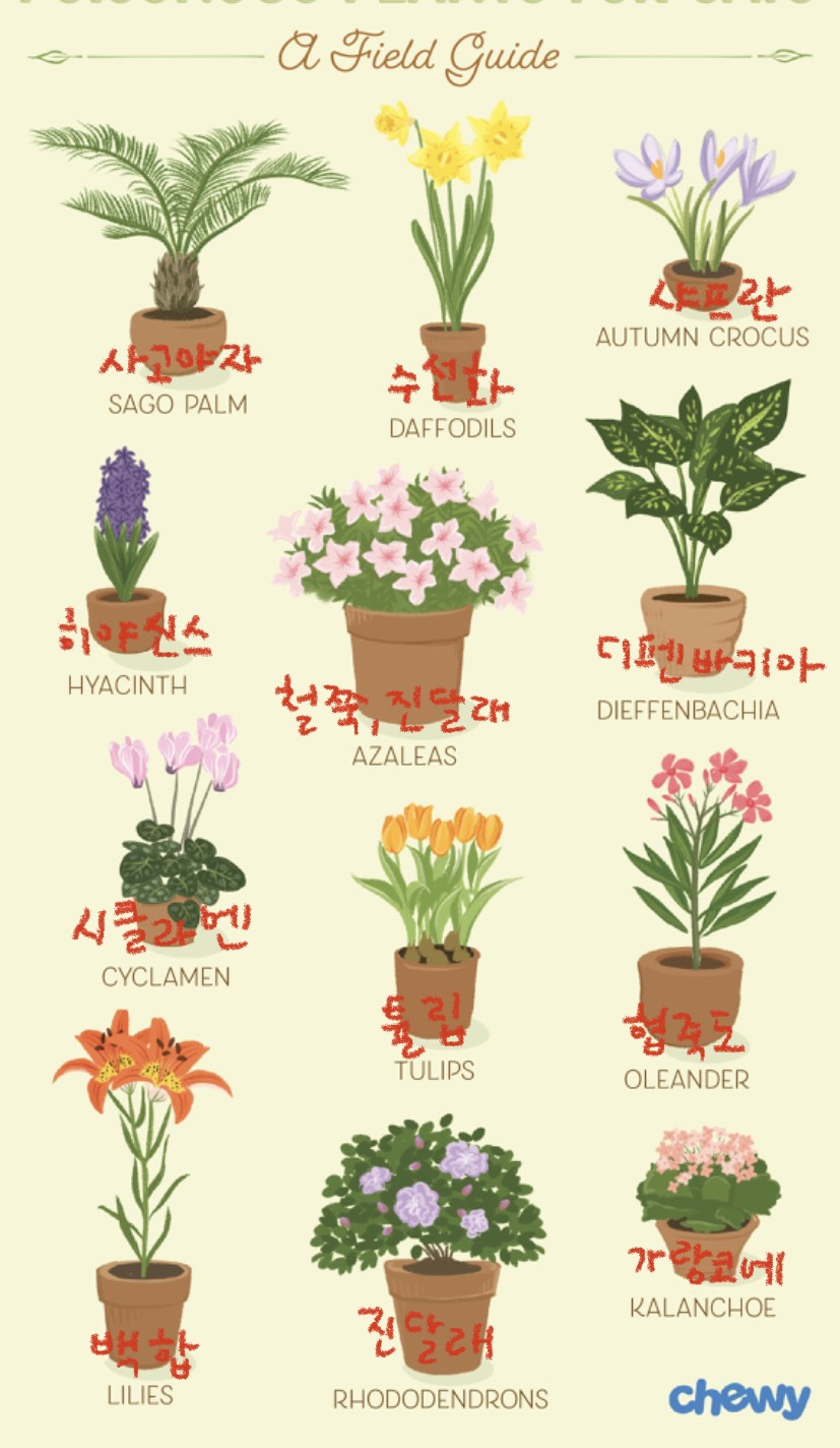 월간정원 이미지