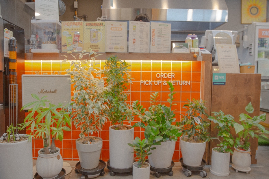 금메달노래타운 이미지