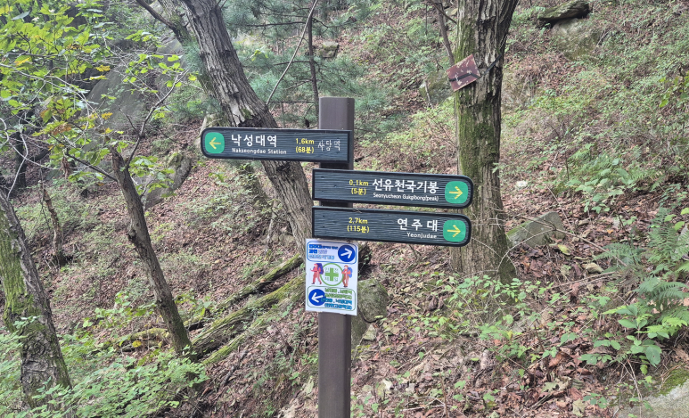 선유천국기대 정상 이미지
