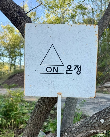 온화한가온송 이미지
