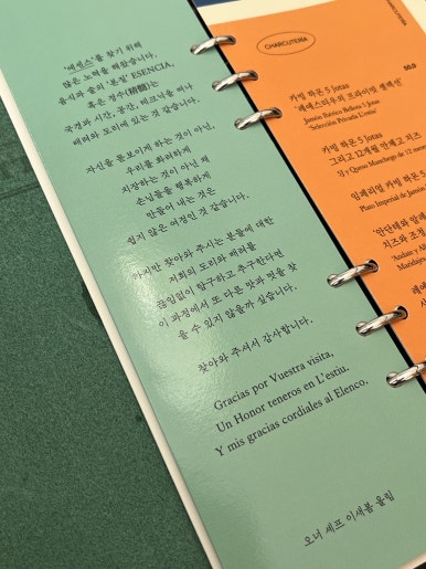 레에스티우 이미지