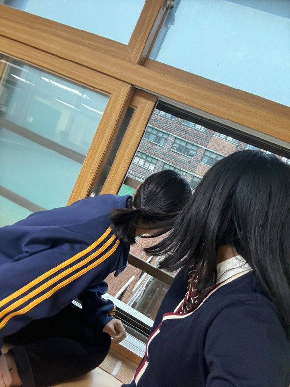 씨월 이미지