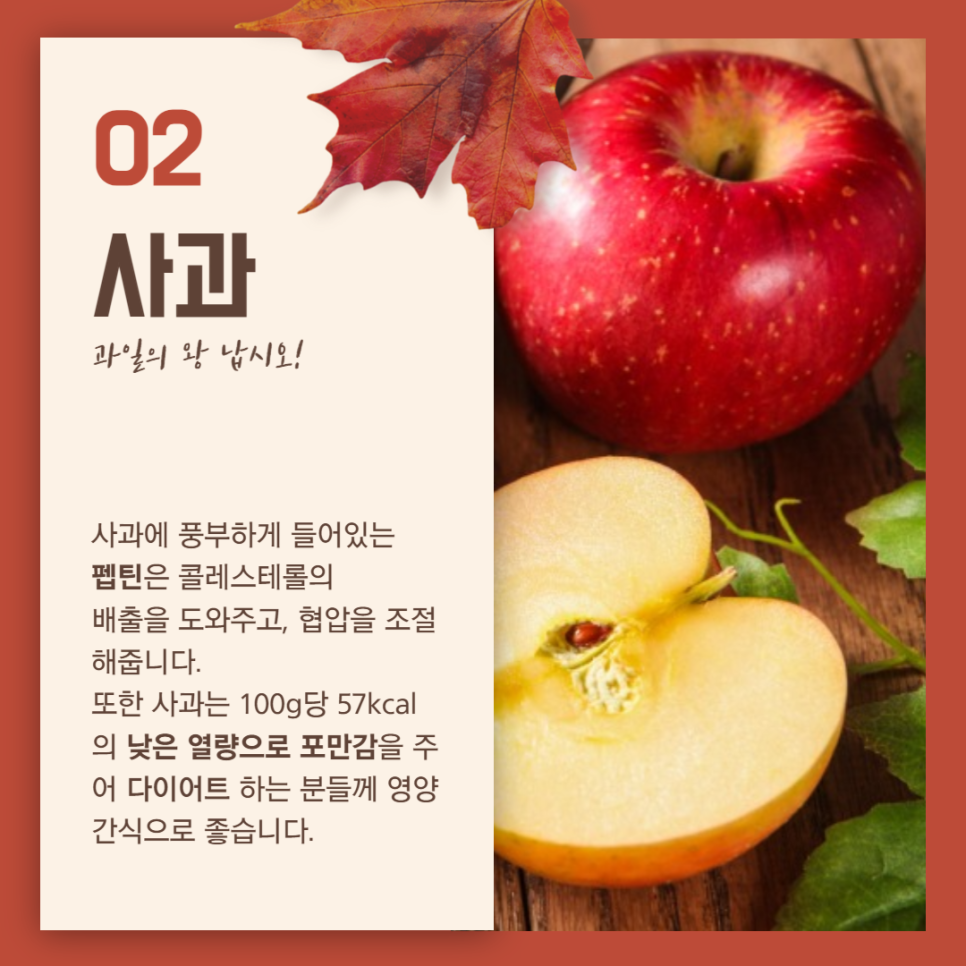 엘디에이치 이미지