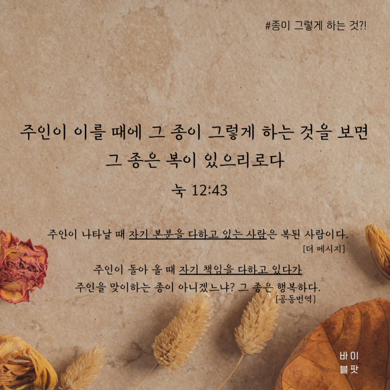 올바이블 이미지