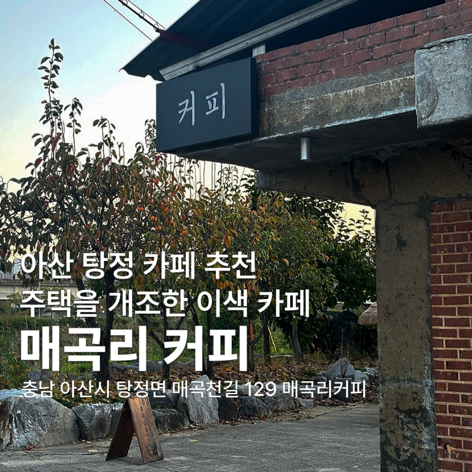매곡리커피 이미지