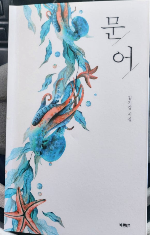 더바른문어 이미지