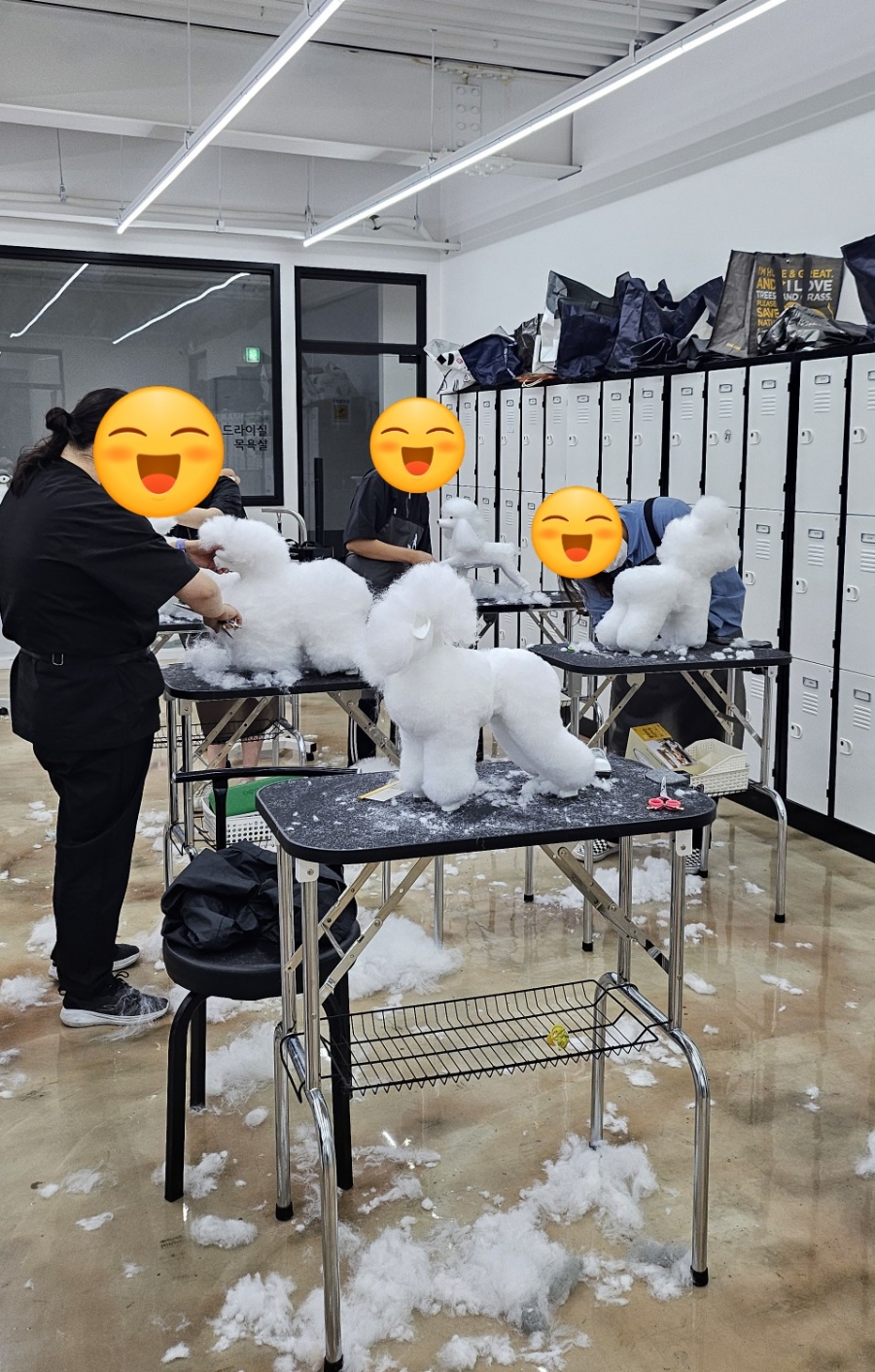 벨라루시애견미용학원 이미지