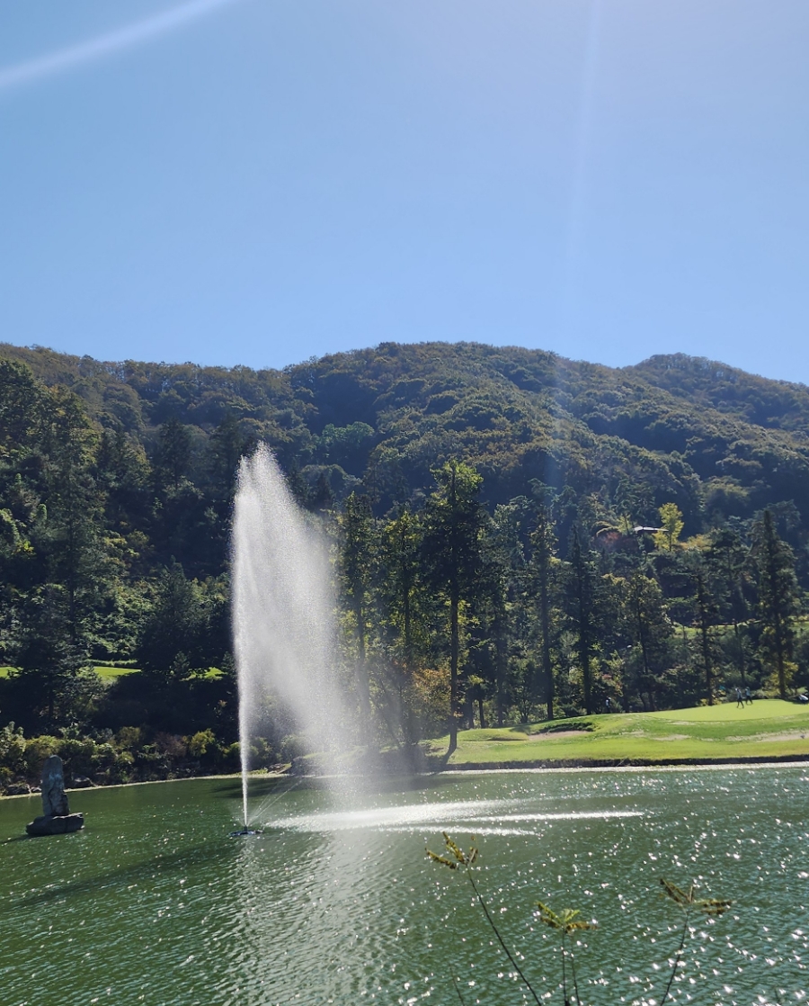 막스시오전주 이미지