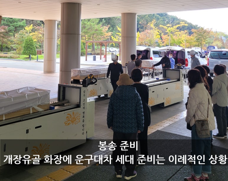 대성장묘 이미지