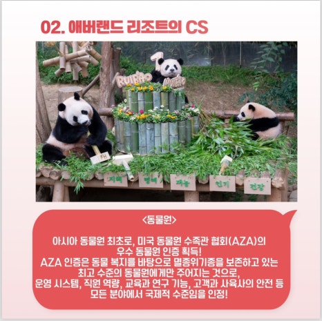 삼성물산(주) 에버랜드리조트 이미지