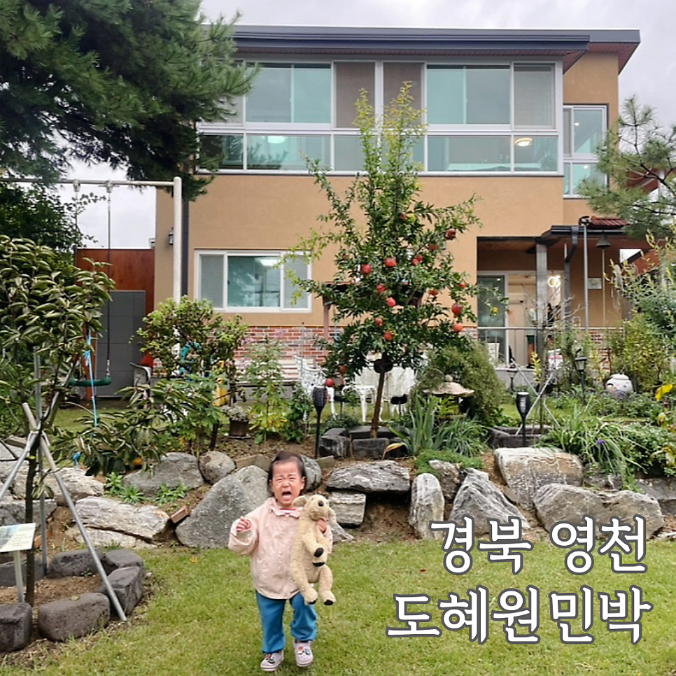 도혜원 민박 이미지