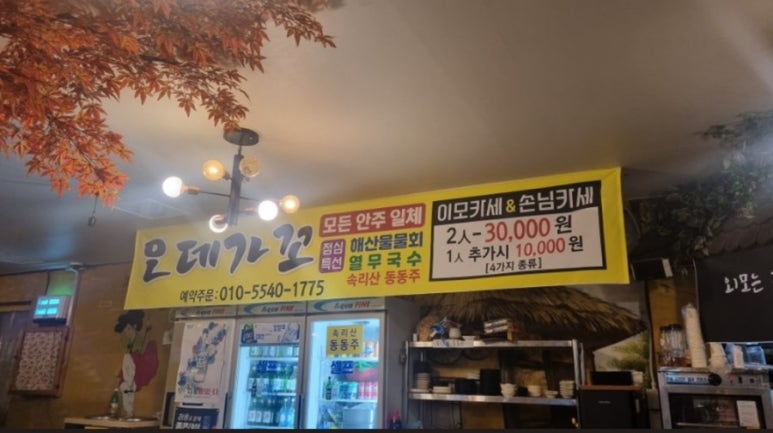 오데가꼬 이미지