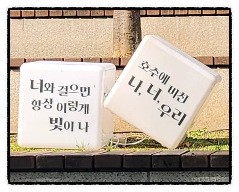 와이기획 이미지