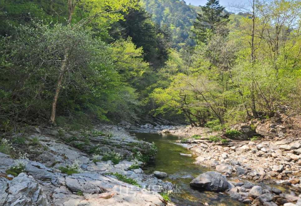 방태산 이미지