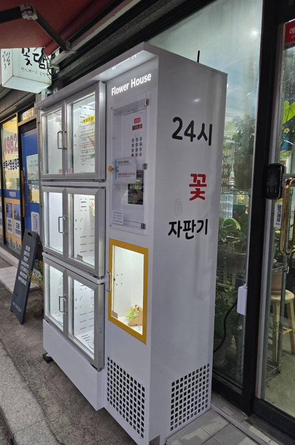 24시꽃 이미지