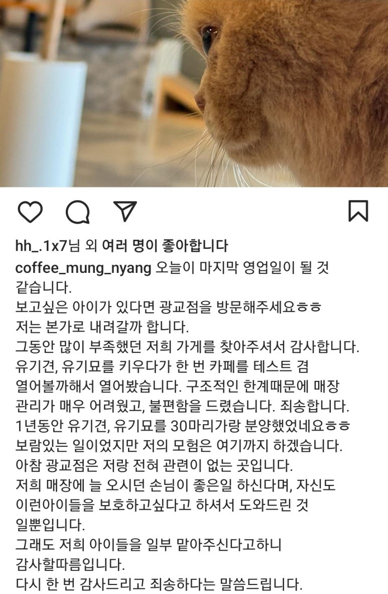 커피멍냥광교역점 이미지