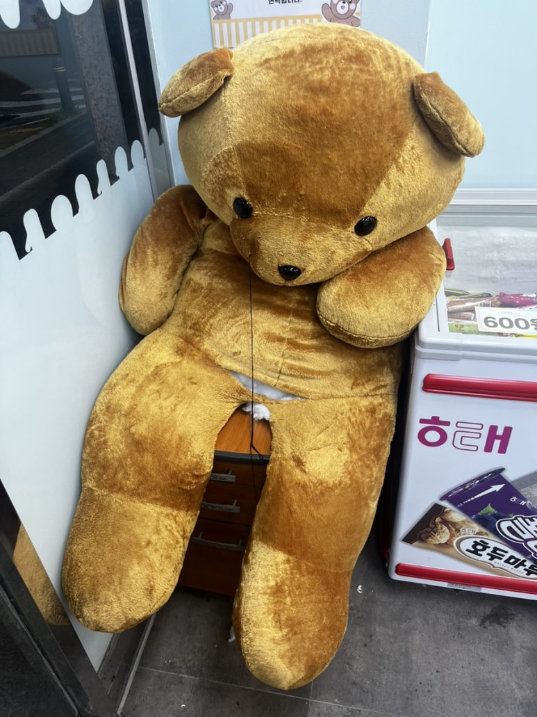 진민네 이미지