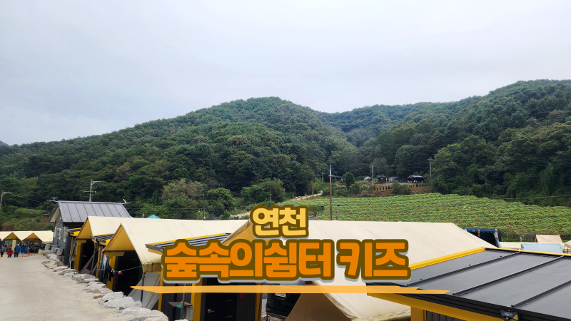 숲속의쉼터키즈캠핑장 이미지