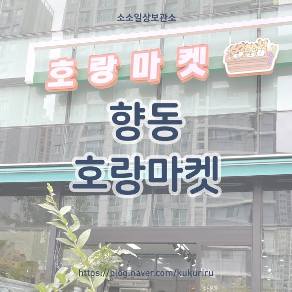 호랑마켓 이미지