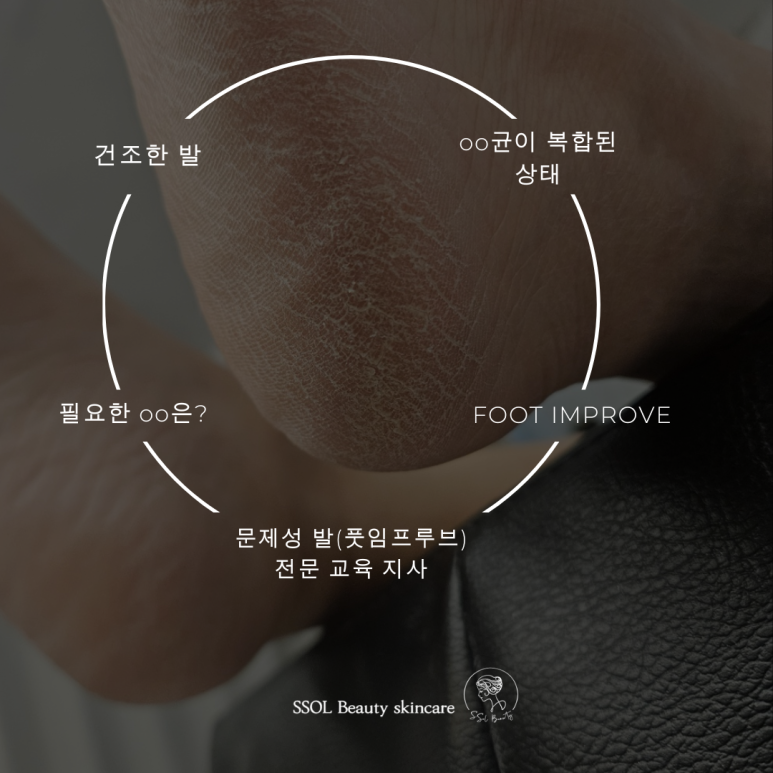 뷰티세라 이미지