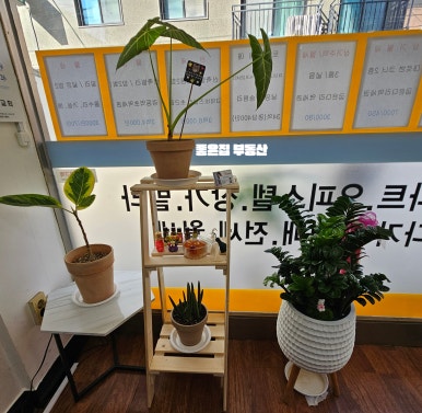 스타일장 이미지