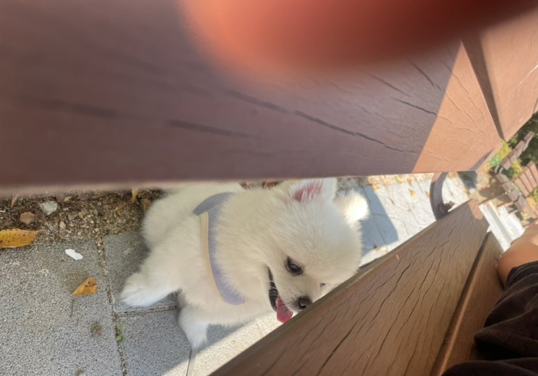 오씨오씨 이미지