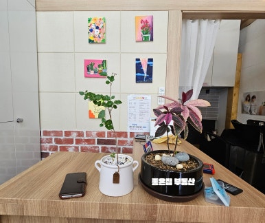 스타일장 이미지