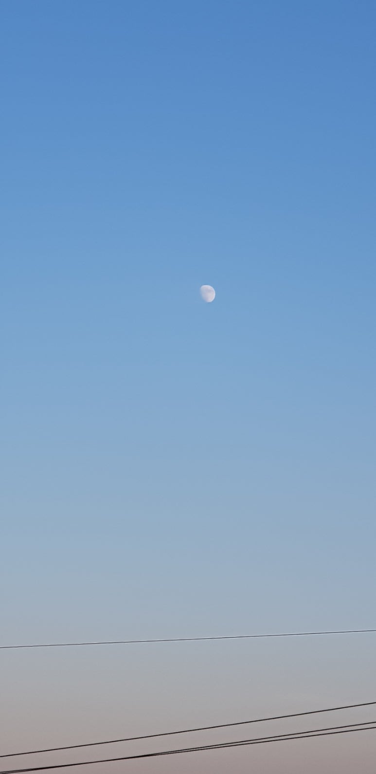 용인자작나무숲펜션 이미지