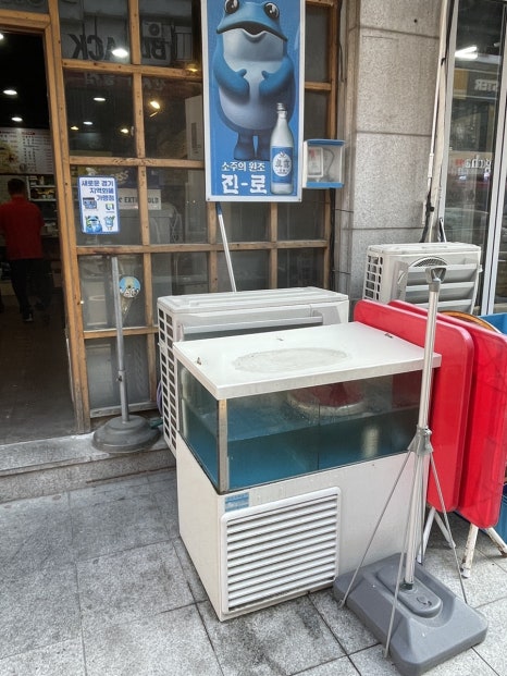 안씨네쭈꾸미 매탄점 사진 4