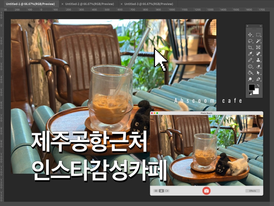 아스쿰 이미지