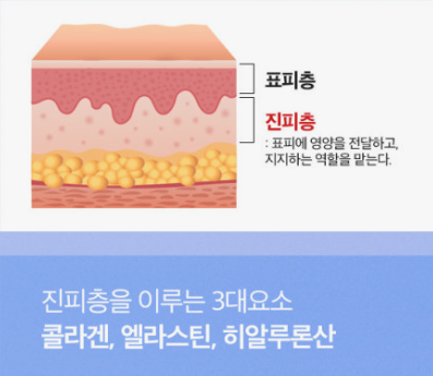 리즈힐의원 이미지