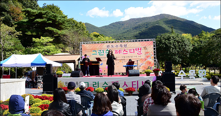 그린 숲 이미지