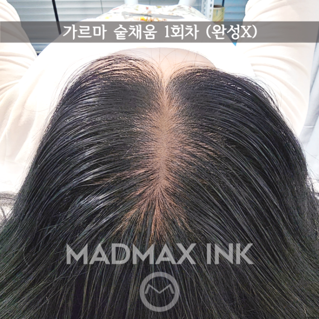 잉크맥스 이미지