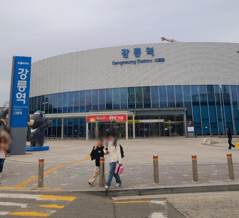 버드나무강릉역 이미지
