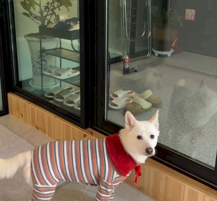 만월글램핑 이미지