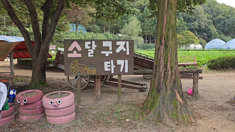 달구지농원 이미지