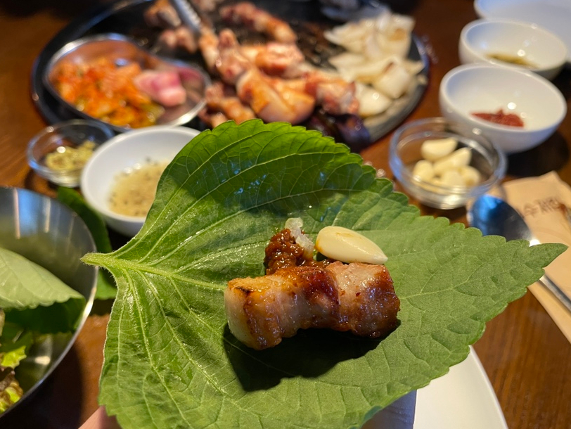 탄관마 이미지