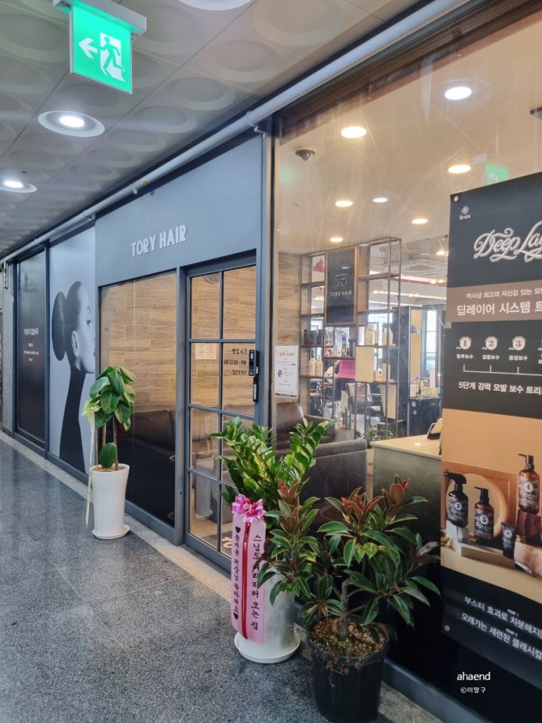 토리헤어송산 이미지
