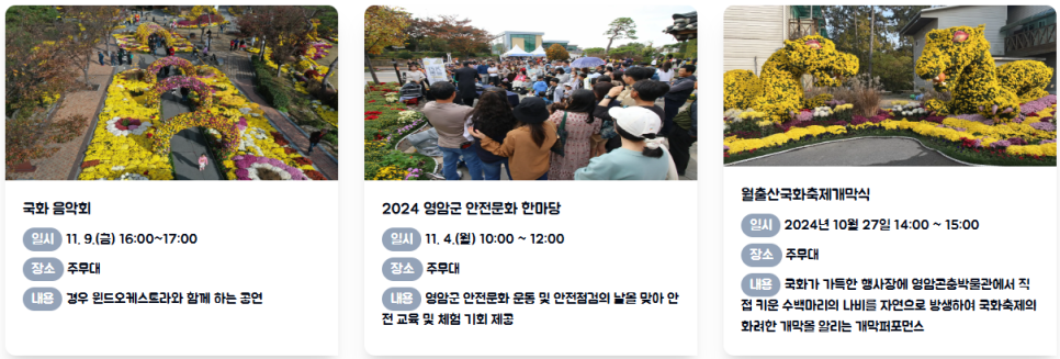 국화문화기획 이미지