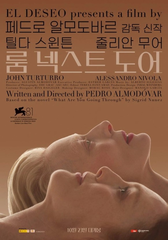 뷰틸다 이미지
