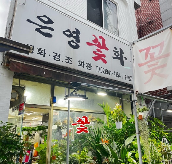 은영꽃화원 이미지